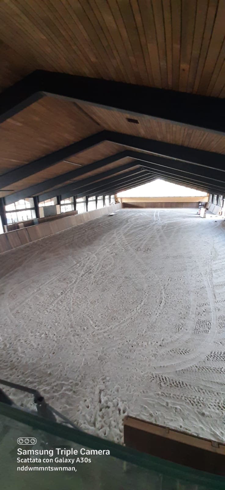 Montaggio di Falinemeria 232